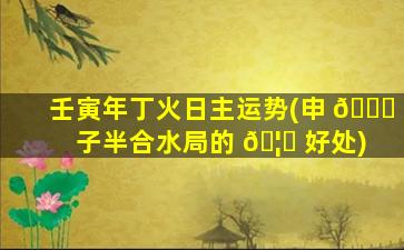 壬寅年丁火日主运势(申 🐘 子半合水局的 🦈 好处)